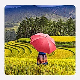 Flexible Professional Photography Course